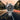 Prospex SEA 1968 Heritage Automatic GMT Diver's HBC002J1