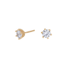 Ørestikker m. CZ &amp; Grab 5,5mm - 8 kt. Guld fra Siersbøl