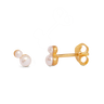 Pearl Double Stud - Forgyldt fra Bybiehl