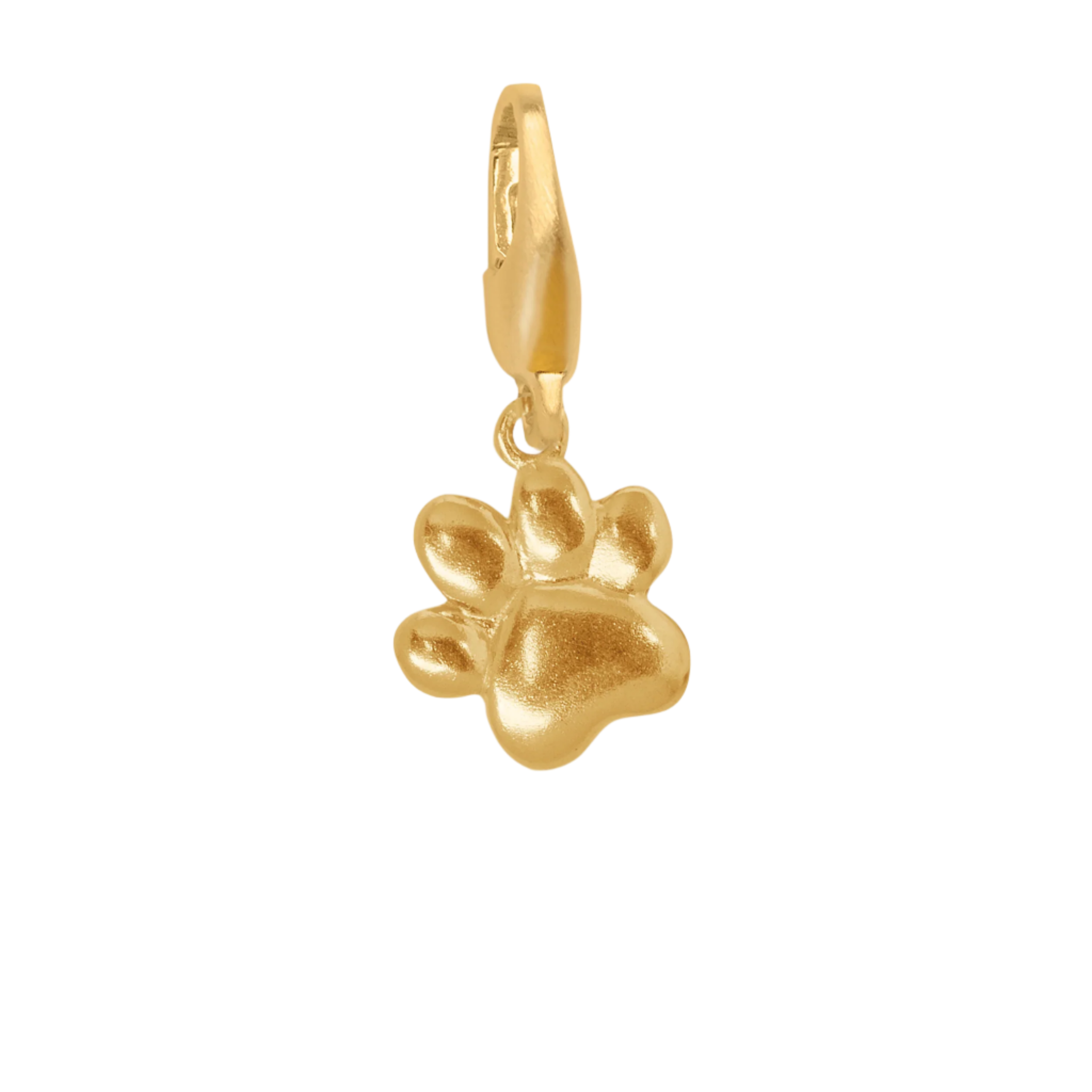 Paw Charm-GP - Forgyldt