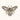 Queen Bee Broche