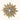 Star Broche