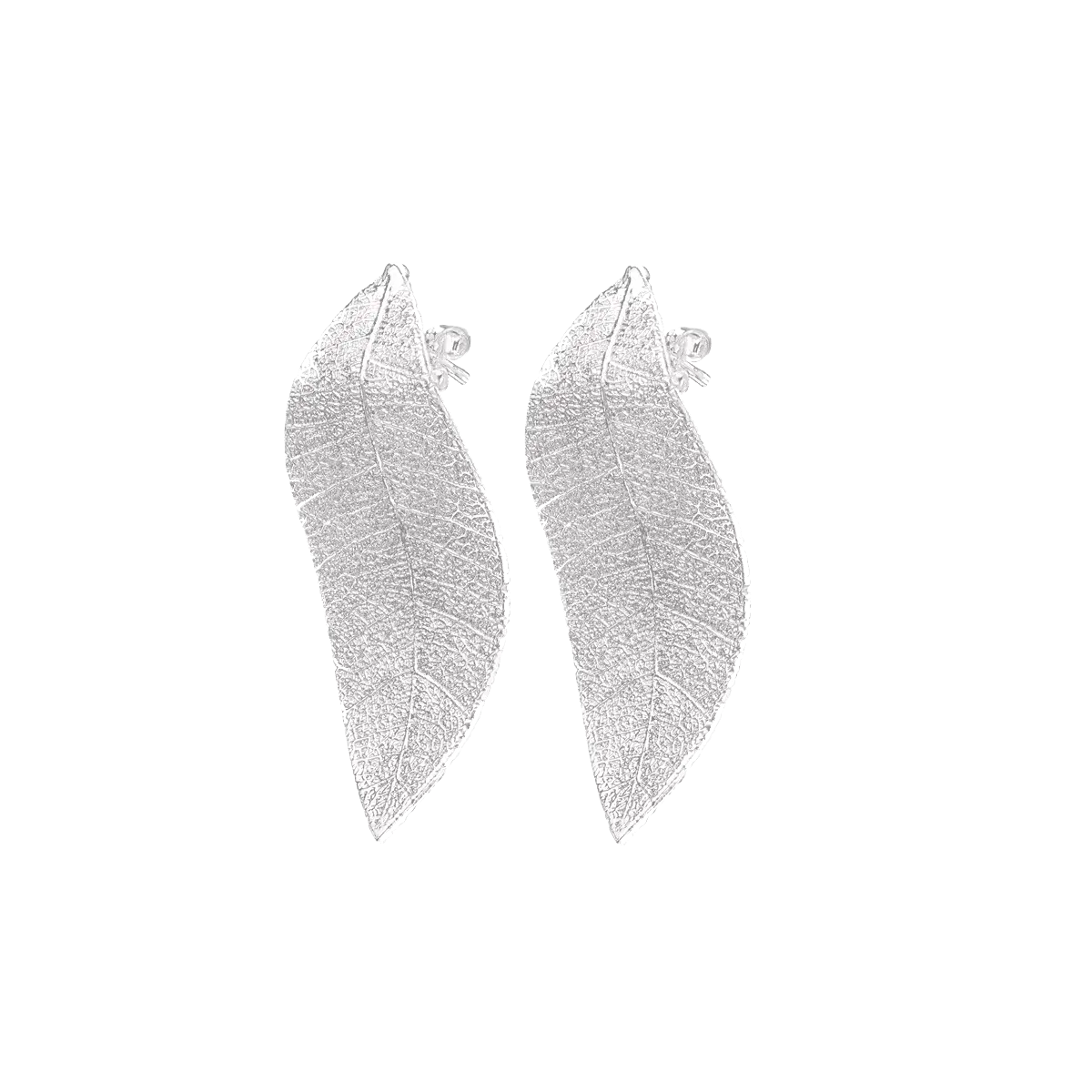 Cana Øreringe - Hvidguldsbelagt fra Pure Leaf